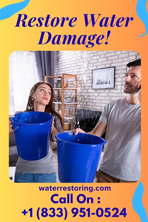 water restoration Western Sewage Cleanup Authority Vienna
