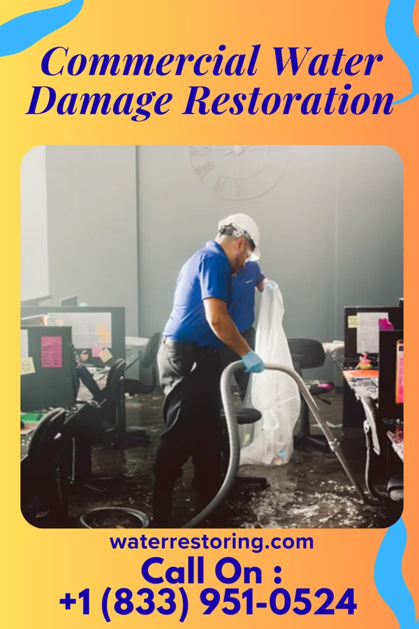 Commercial Water Damage Restoration in Vienna, GA