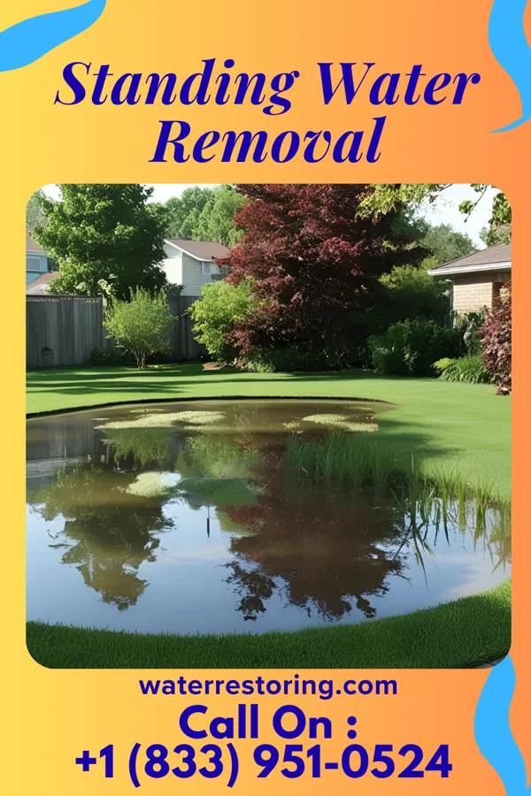Standing Water Removal in Vienna, GA